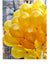 Балони жълт металик